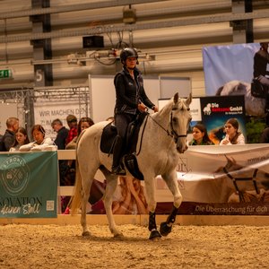 Reitsportmesse Halle 2026, Messeimpression