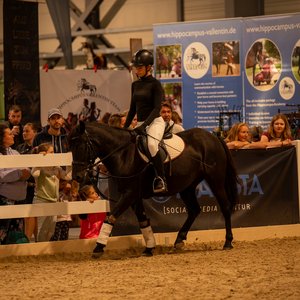 Reitsportmesse Halle 2026, Messeimpression