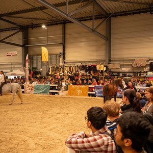 Reitsportmesse Halle 2026, Messeimpression