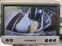 Lucky-Pferdetaxi – Pferdetransport mit Herz und Verstand