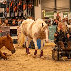 Reitsportmesse Halle 2026, Messeimpression