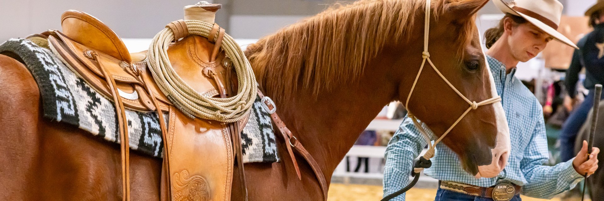 Reitsportmesse Halle/Saale