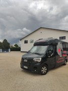 Lucky-Pferdetaxi – Pferdetransport mit Herz und Verstand