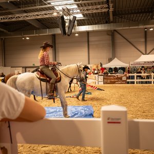 Reitsportmesse Halle 2026, Messeimpression
