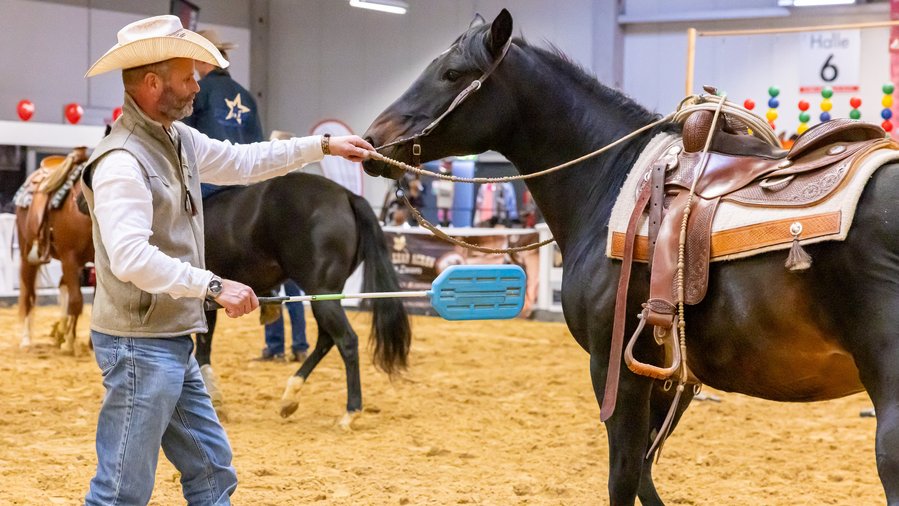 Exklusiver Westernbereich